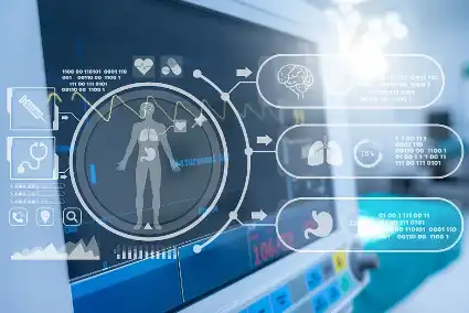 Lemon Fruit Powder Lemon Fruit Powder