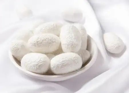 Sericin powder Sericin powder