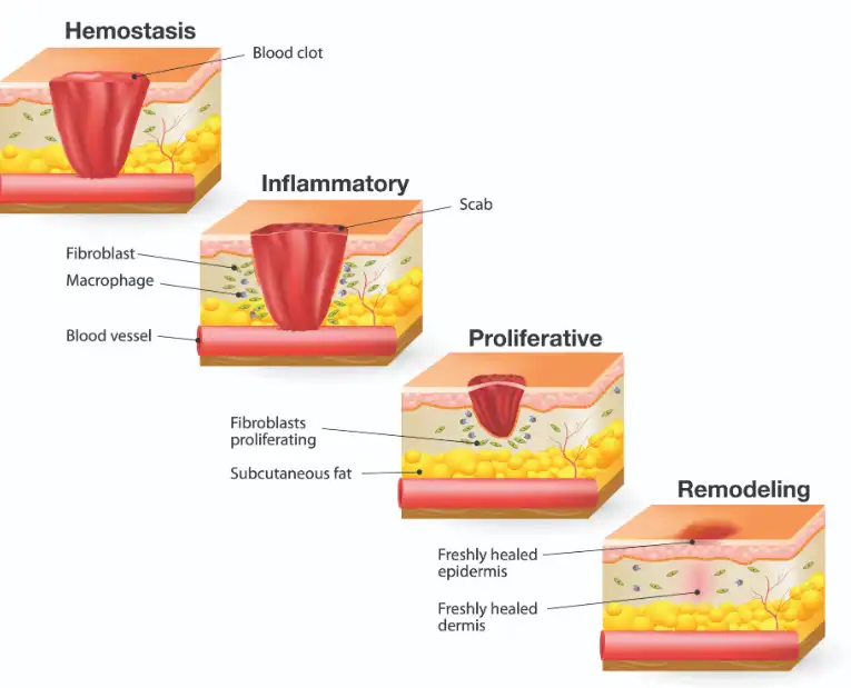 Sericin Powder Sericin Powder