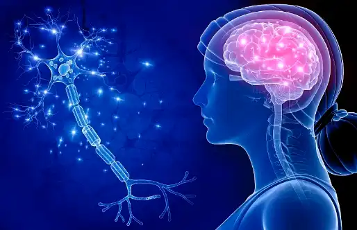 Nervonic acid Nervonic acid