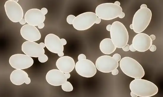 Selenium-enriched yeast Selenium-enriched yeast