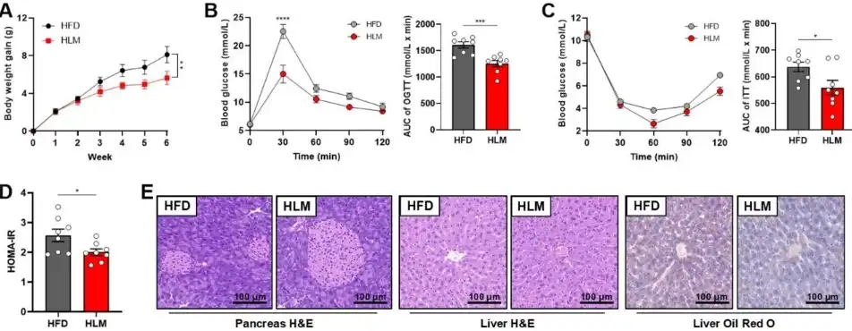 Bulk L-Citrulline Powder Bulk L-Citrulline Powder