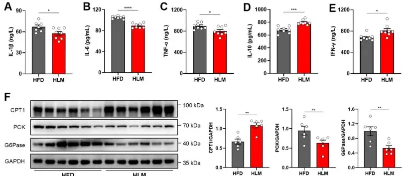 Bulk L-Citrulline Powder Bulk L-Citrulline Powder