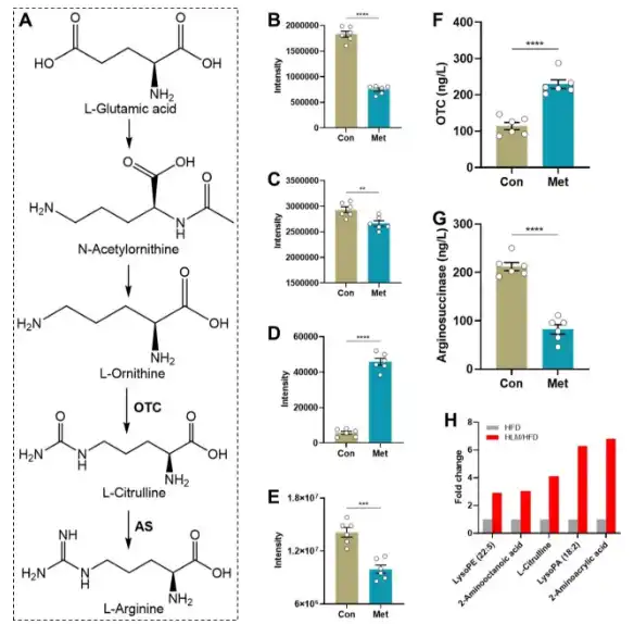 Bulk L-Citrulline Powder Bulk L-Citrulline Powder
