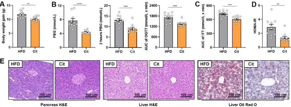 Bulk L-Citrulline Powder Bulk L-Citrulline Powder