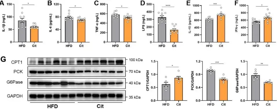 Bulk L-Citrulline Powder Bulk L-Citrulline Powder