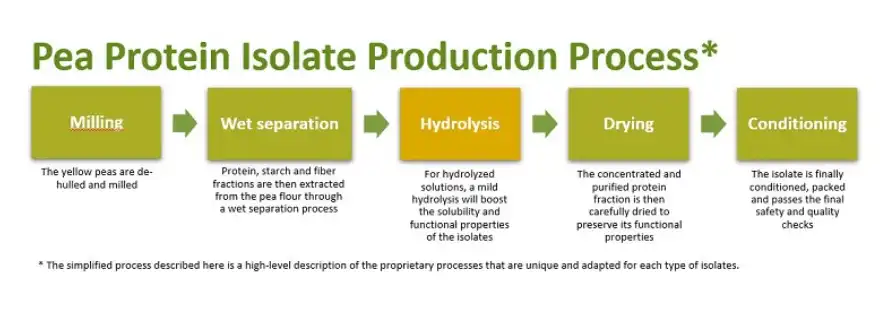 Pea textured protein Pea textured protein