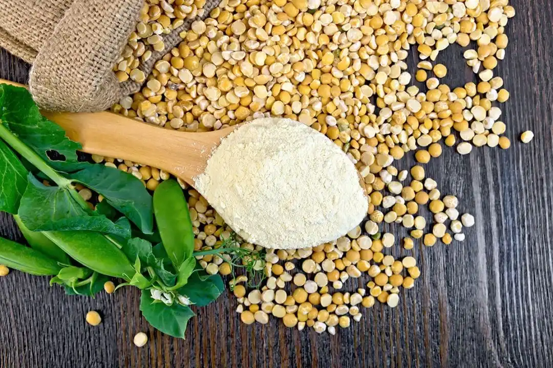 Pea textured protein