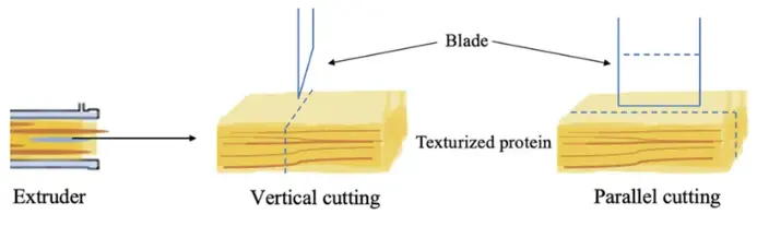Pea textured protein Pea textured protein