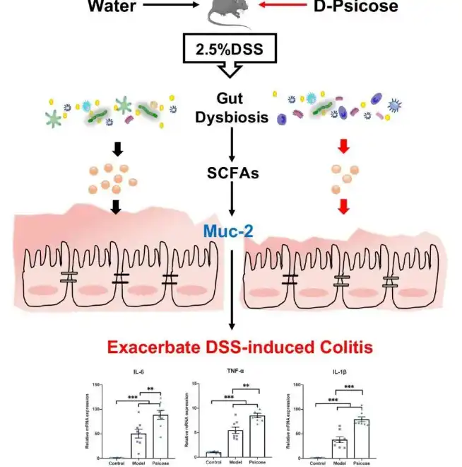 D-Psicose Powder D-Psicose Powder