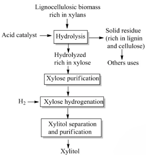 Bulk Xylitol Powder Bulk Xylitol Powder