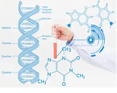 Lemon Bioflavonoids Powder Lemon Bioflavonoids Powder