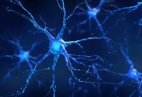 Nervonic acid Nervonic acid