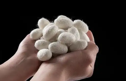 fibroin powder fibroin powder