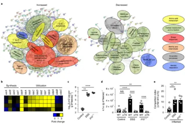 L-serine powder L-serine powder