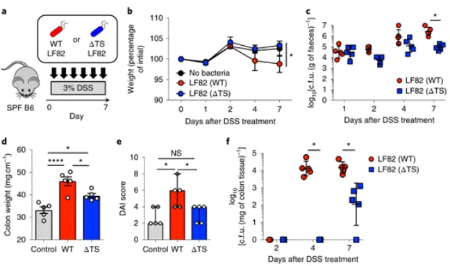 L-serine powder L-serine powder