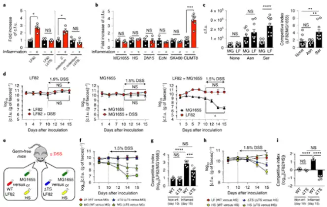L-serine powder L-serine powder