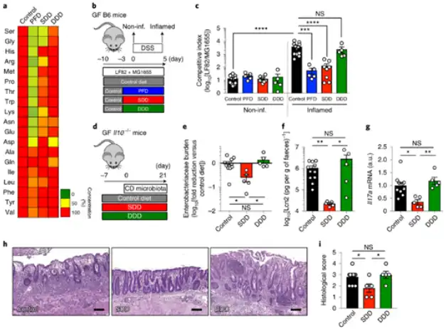 L-serine powder L-serine powder