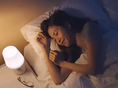 Bulk L-Tryptophan Powder Bulk L-Tryptophan Powder