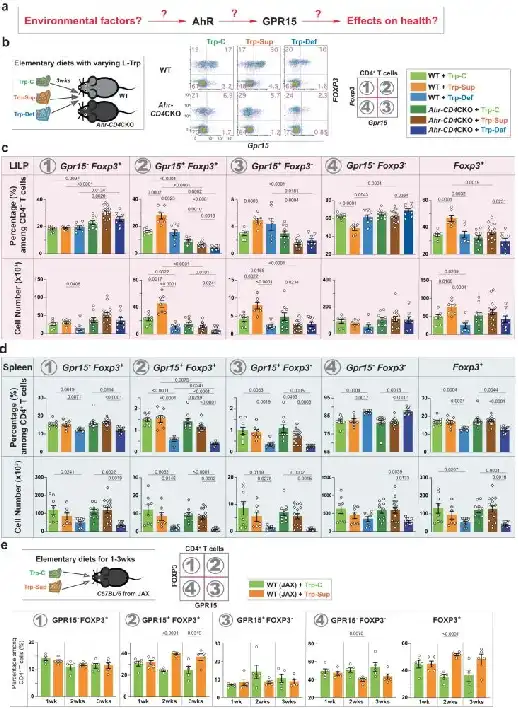 Bulk L-Tryptophan Powder Bulk L-Tryptophan Powder