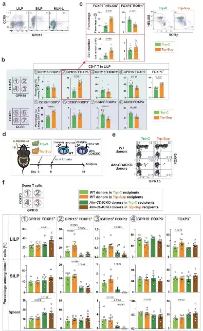 Bulk L-Tryptophan Powder Bulk L-Tryptophan Powder