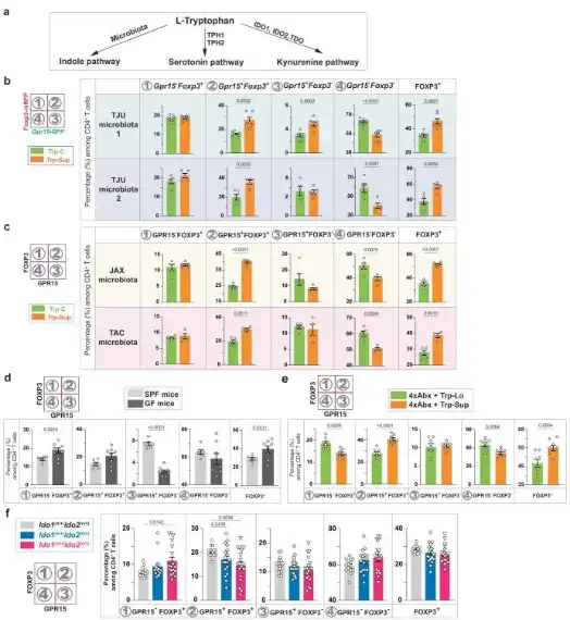 Bulk L-Tryptophan Powder Bulk L-Tryptophan Powder