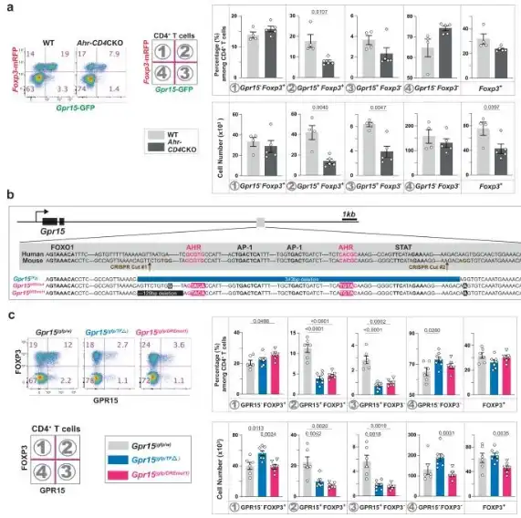 Bulk L-Tryptophan Powder Bulk L-Tryptophan Powder
