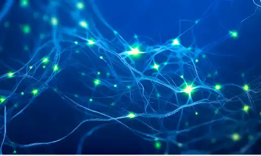 Zinc glycinate powder Zinc glycinate powder