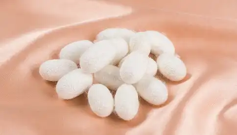 fibroin powder fibroin powder