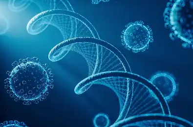 Dihydroquercetin Dihydroquercetin