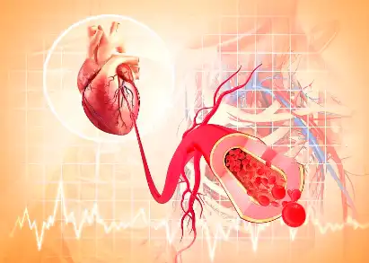 Lime fruit powder Lime fruit powder