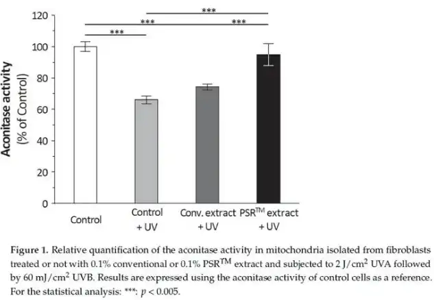 Instant Black Tea Extract Powder Instant Black Tea Extract Powder