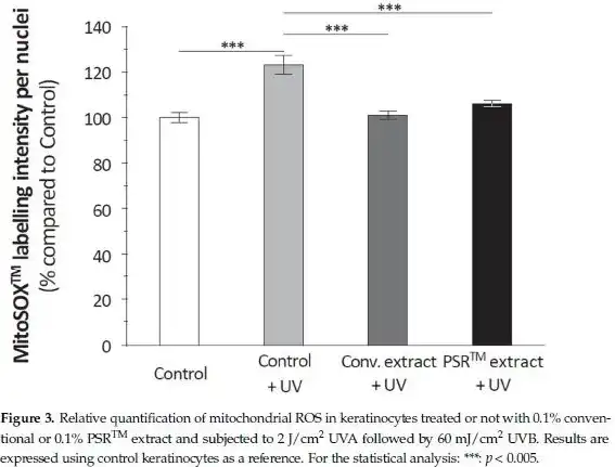 Instant Black Tea Extract Powder Instant Black Tea Extract Powder
