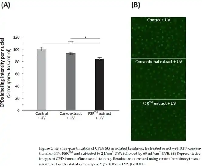 Instant Black Tea Extract Powder Instant Black Tea Extract Powder