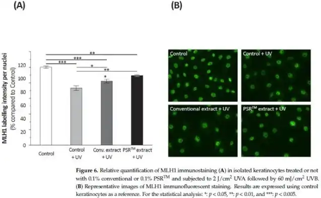 Instant Black Tea Extract Powder Instant Black Tea Extract Powder