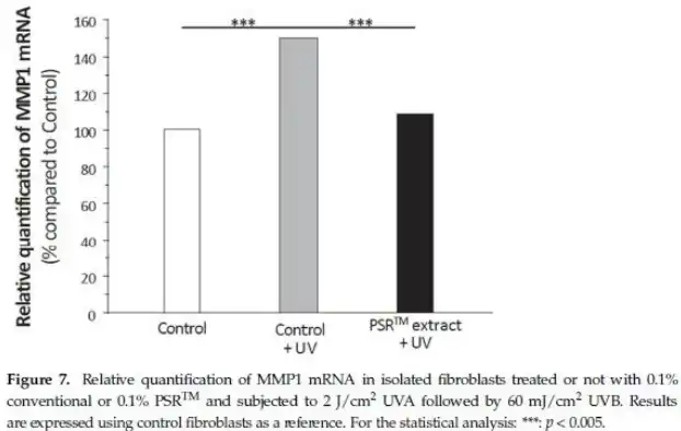 Instant Black Tea Extract Powder Instant Black Tea Extract Powder