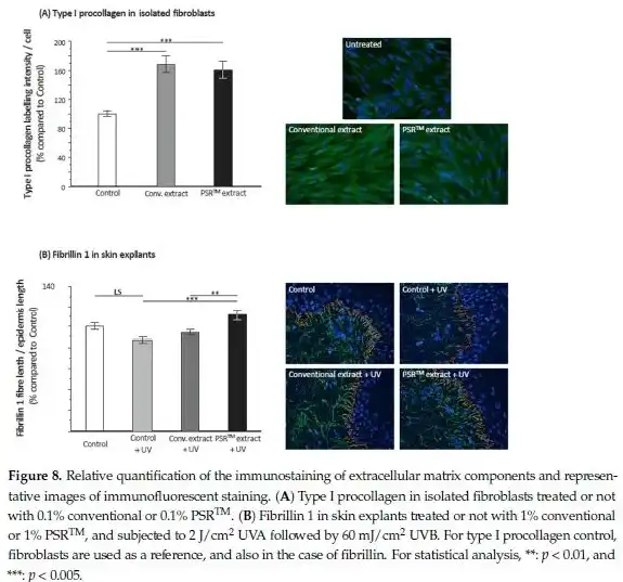 Instant Black Tea Extract Powder Instant Black Tea Extract Powder