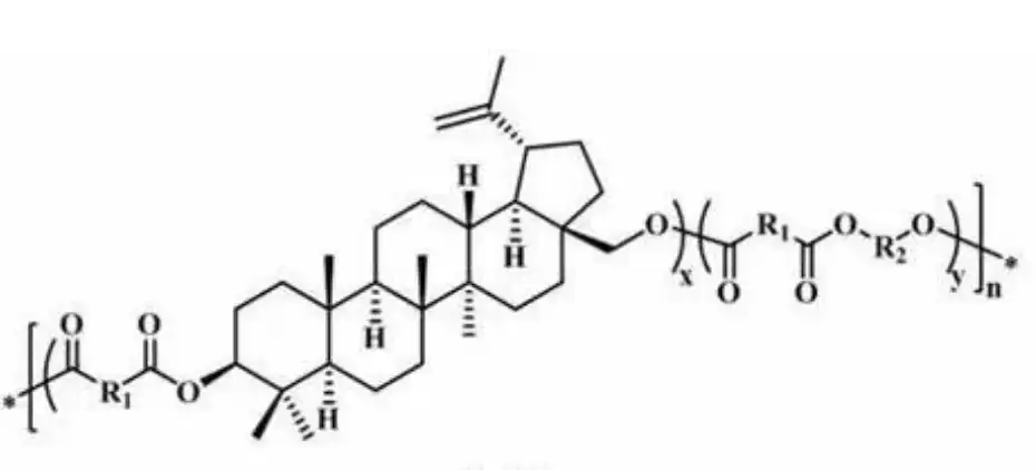 Birch bark extract Birch bark extract