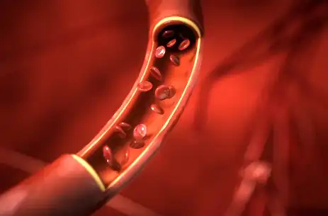 Rose petal powder bulk Rose petal powder bulk