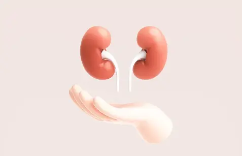 Pure citric acid powder Pure citric acid powder