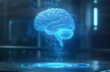 Lychee fruit powder Lychee fruit powder