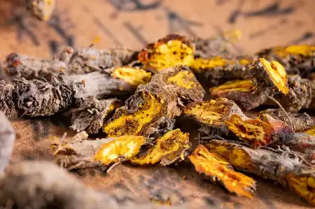 Berberine Hydrochloride Berberine Hydrochloride