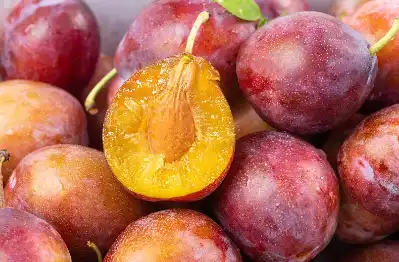 Prune juice powder Prune juice powder