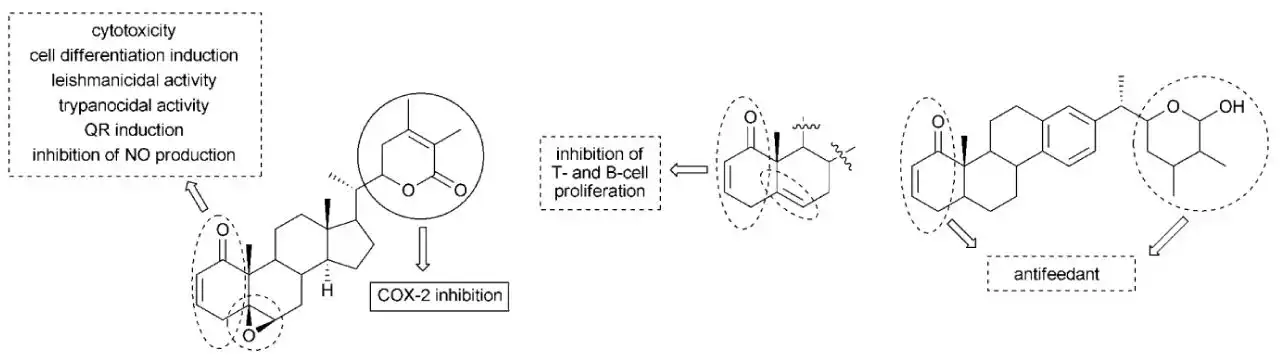 Withanolide powder Withanolide powder