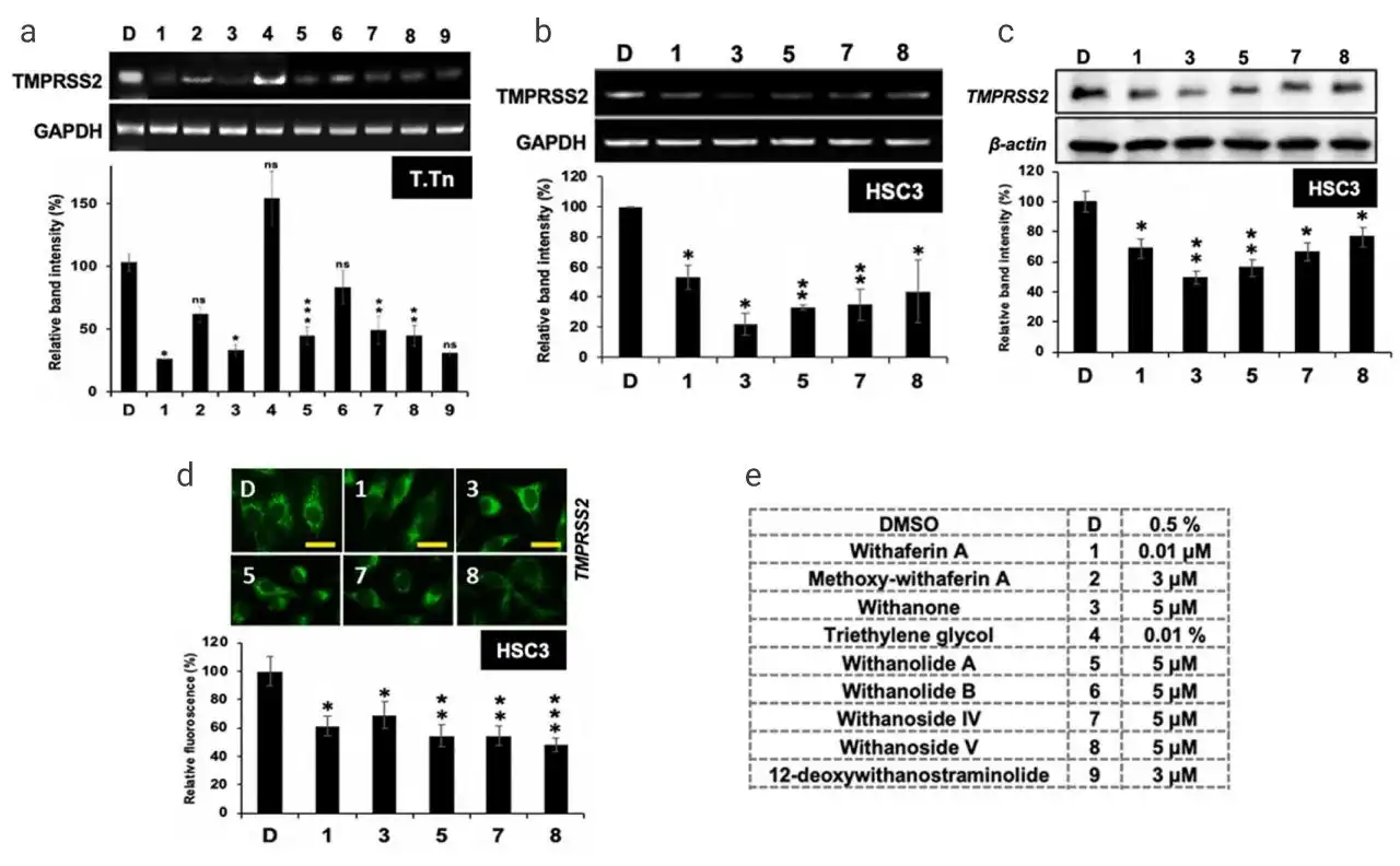 Withanolide powder Withanolide powder