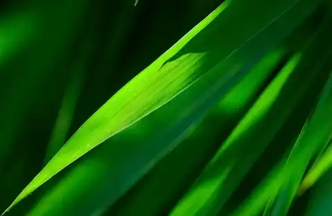 Bulk Silica Powder Bulk Silica Powder