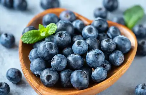 Blueberry Fruit Juice Powder