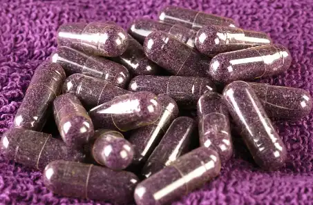 Blueberry Fruit Juice Powder