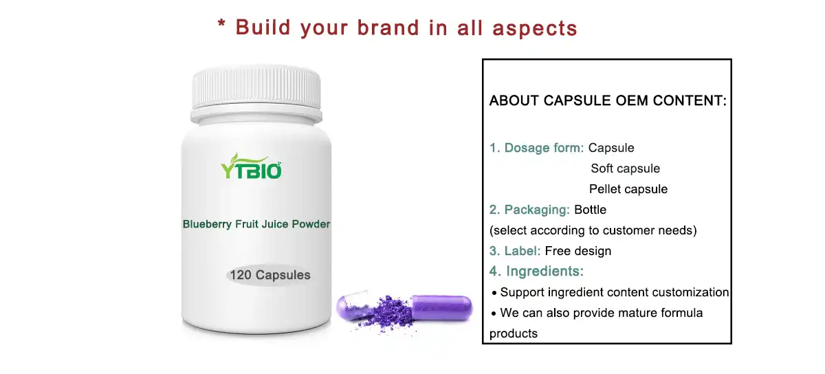 Blueberry Fruit Juice Powder