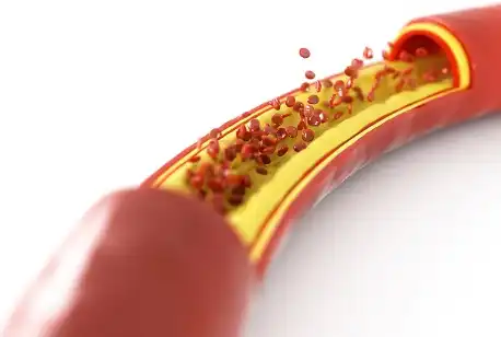 Persimmon Extract Powder Persimmon Extract Powder